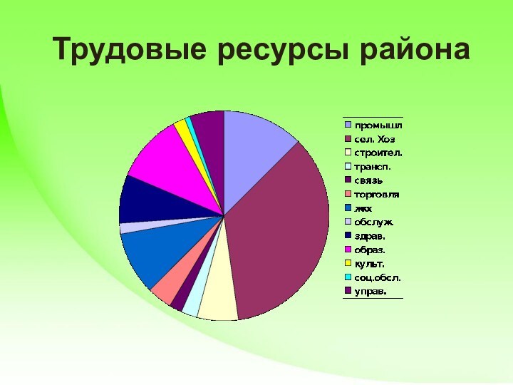 Трудовые ресурсы района