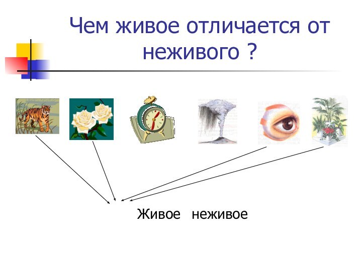 Чем живое отличается от неживого ?Живое	неживое