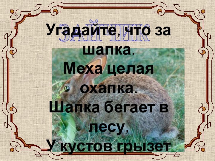 ЗАЙЧИКУгадайте, что за шапка. Меха целая охапка. Шапка бегает в лесу, У кустов грызет кору.