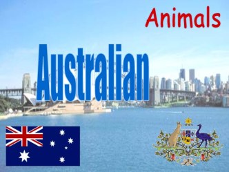 Australian animals