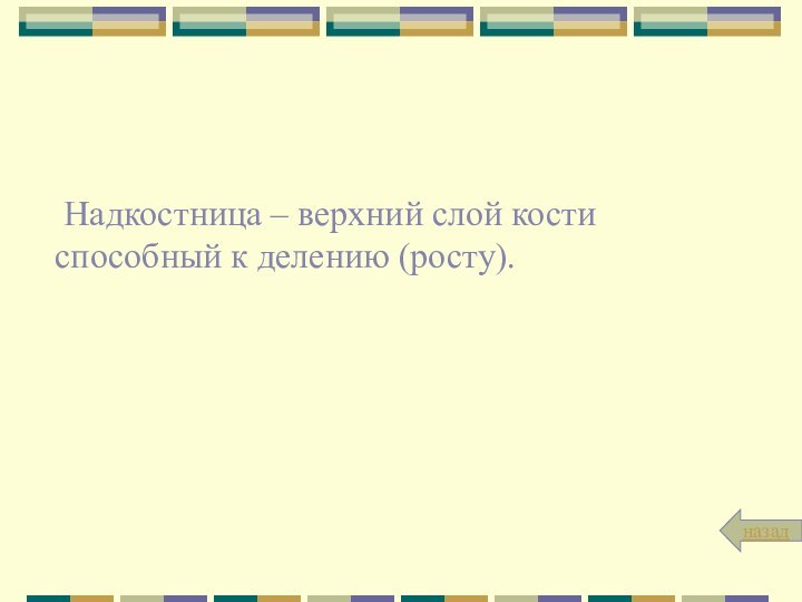 Надкостница – верхний слой кости способный к делению (росту).назад