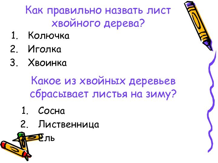 Как правильно назвать лист хвойного дерева?КолючкаИголкаХвоинка Какое из хвойных деревьев сбрасывает листья на зиму?СоснаЛиственницаЕль