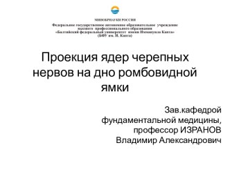 Проекция ядер черепных нервов на дно ромбовидной ямки