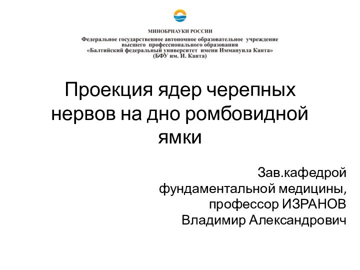 Проекция ядер черепных нервов на дно ромбовидной ямкиЗав.кафедрой фундаментальной медицины, профессор ИЗРАНОВ Владимир Александрович