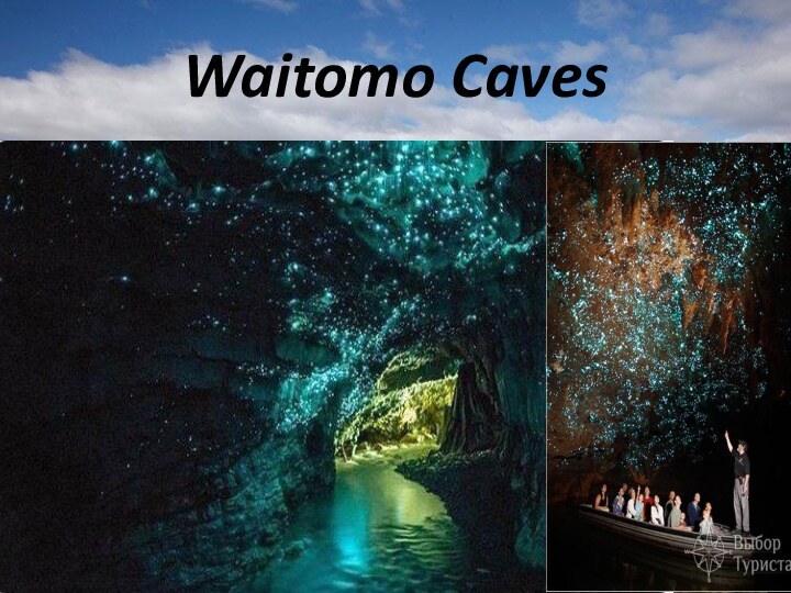 Waitomo Caves