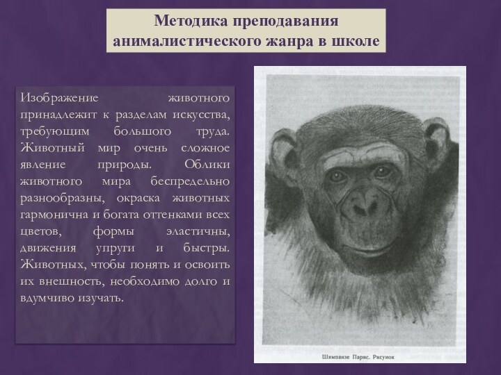 Методика преподавания анималистического жанра в школеИзображение животного принадлежит к разделам искусства, требующим