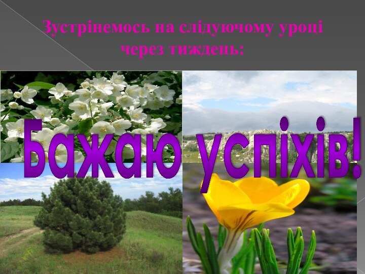 Зустрінемось на слідуючому уроці через тиждень:Бажаю успіхів!