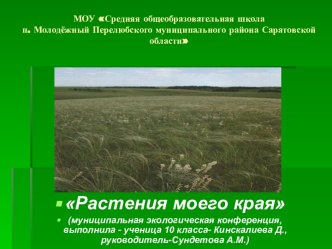 Растения моего края