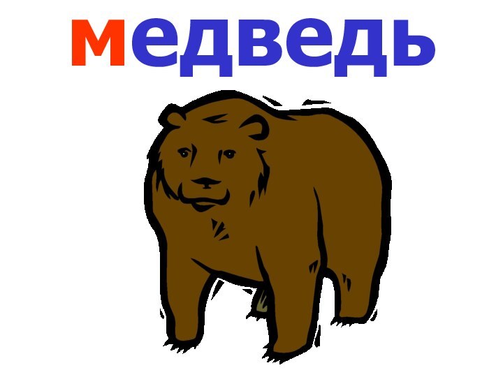 медведь