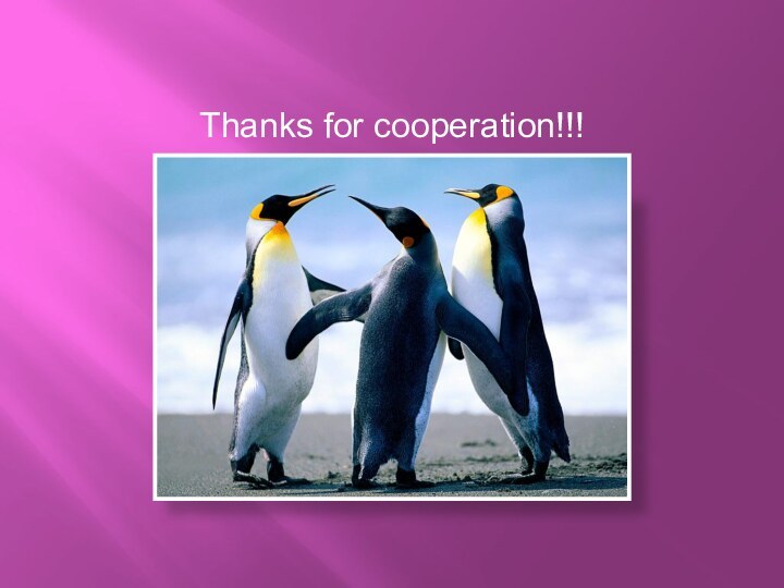 Thanks for cooperation!!!