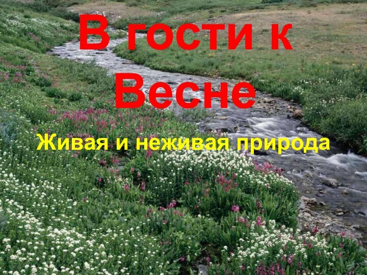 В гости к Весне Живая и неживая природа