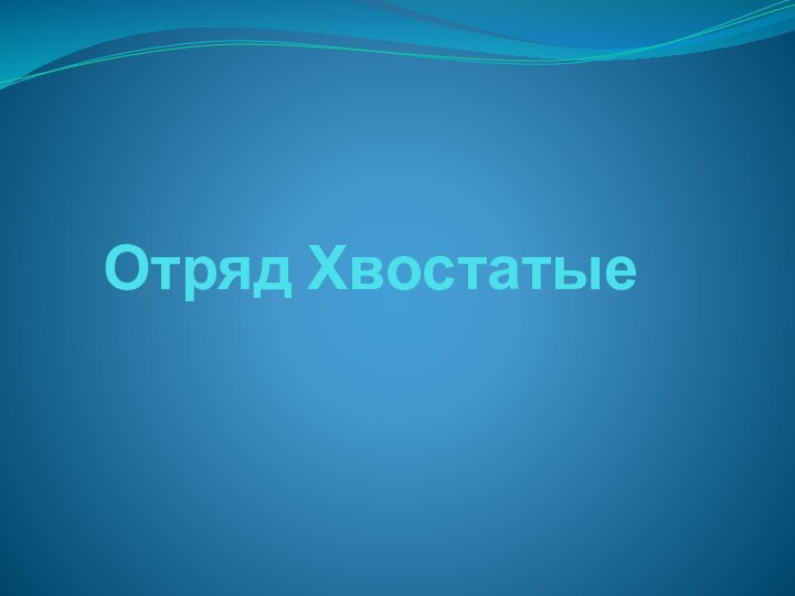 Отряд Хвостатые