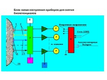 электрод