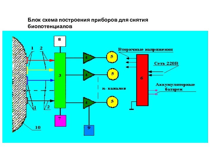 Блок схема построения приборов для снятия биопотенциалов