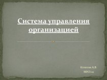 Система управления организацией