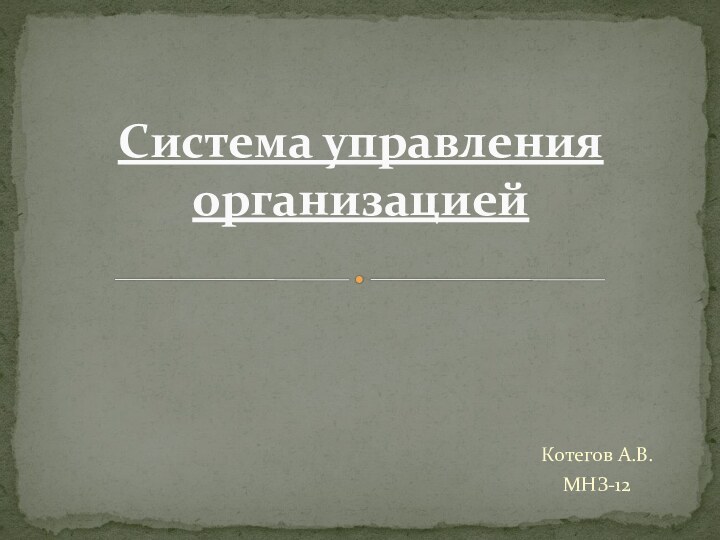 Котегов А.В.МНЗ-12Система управления организацией