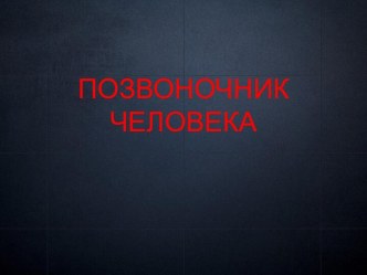 Позвоночник человека