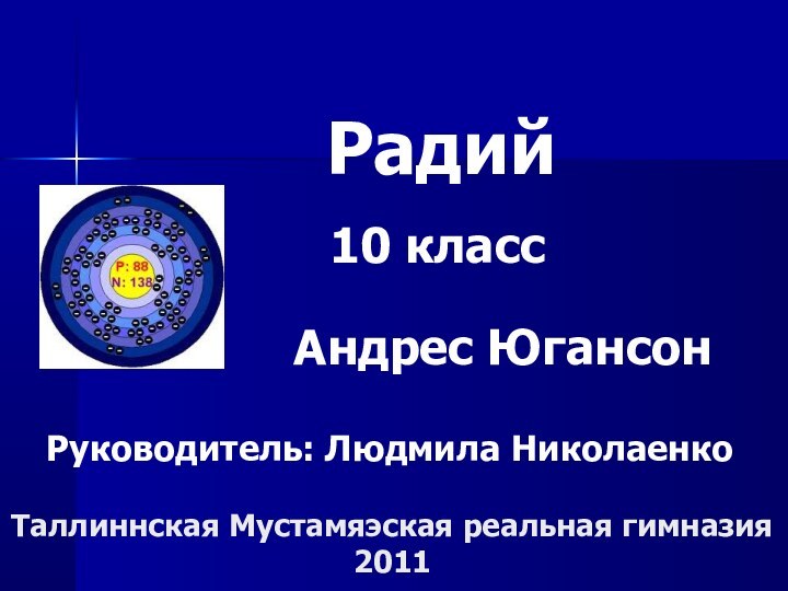 Таллиннская Мустамяэская реальная гимназия2011