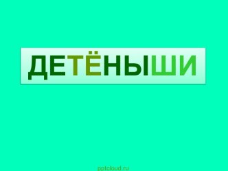 Детеныши