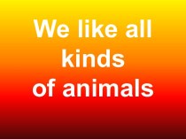 All kinds of animals