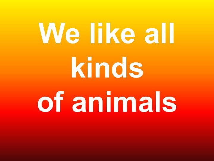 We like all kinds  of animals