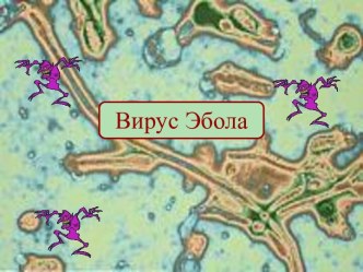 Вирус Эбола