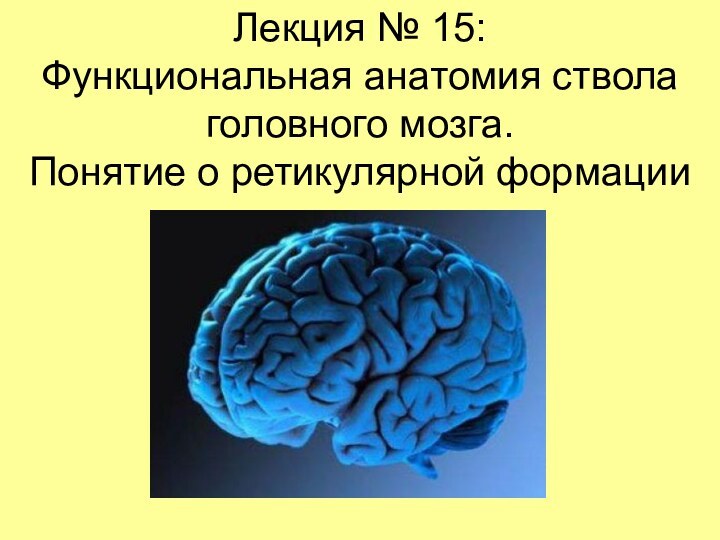 Лекция № 15:  Функциональная анатомия ствола головного мозга.  Понятие о ретикулярной формации