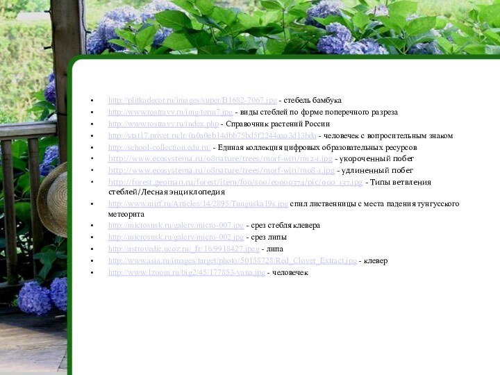 http://plitkadecor.ru/images/super/B1682-7067.jpg - стебель бамбукаhttp://www.rostravy.ru/img/term7.jpg - виды стеблей по форме поперечного разрезаhttp://www.rostravy.ru/index.php -