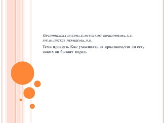 Овчинниковаполина.кансультантовчинникова.е.в.рукавадительпермякова.и.в.