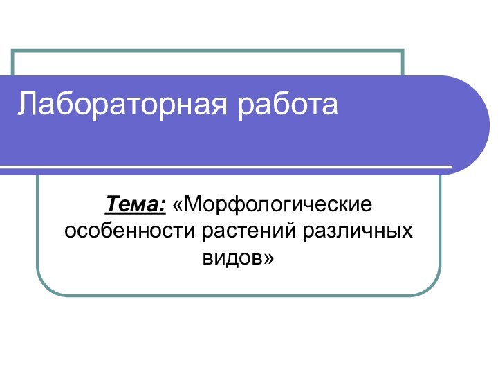 Лабораторная работа Тема: «Морфологические особенности растений различных видов»