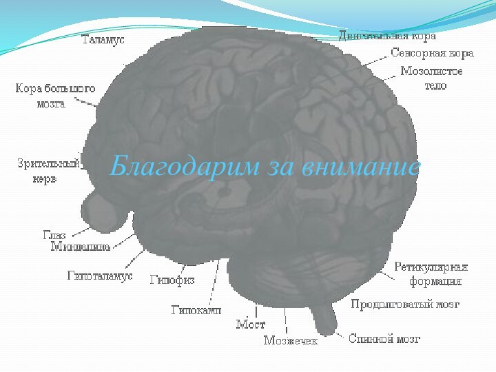 Благодарим за внимание