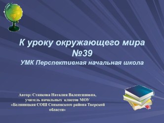 Как образуется почва