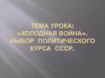 Холодная война. Выбор политического курса СССР