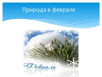 Природа в феврале