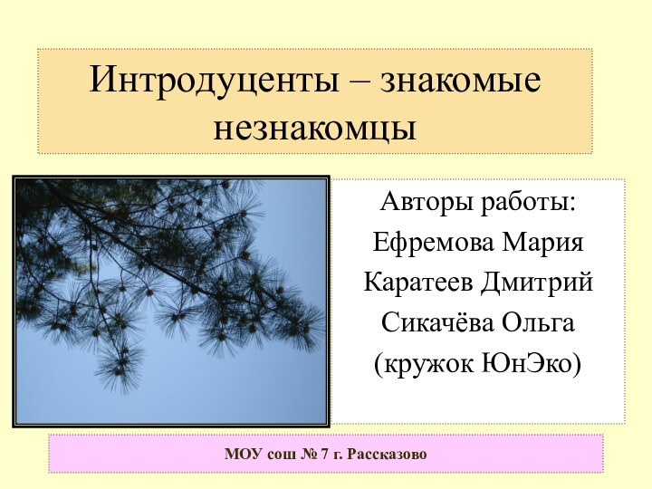 Интродуценты – знакомые незнакомцы Авторы работы:Ефремова МарияКаратеев Дмитрий Сикачёва Ольга(кружок ЮнЭко)МОУ сош № 7 г. Рассказово