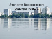 Экология Воронежского водохранилища