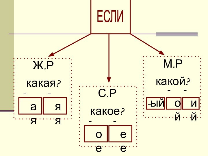 ЕСЛИЖ.Ркакая?-яя-аяС.Ркакое?-ее-оеМ.Ркакой?-ый-ой-ий