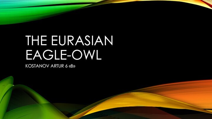 The Eurasian eagle-owl KOSTANOV ARTUR 6 «B»