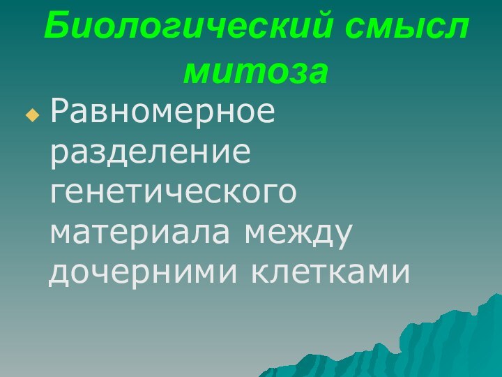 Биологический смысл митозаРавномерное разделение генетического материала между дочерними клетками