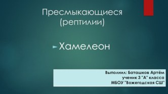 Пресмыкающиеся(рептилии)