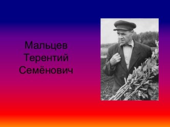 Мальцев Терентий Семёнович