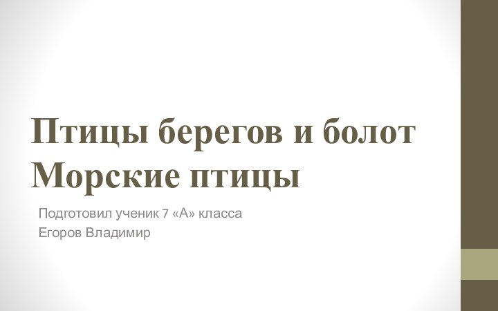 Птицы берегов и болот Морские птицыПодготовил ученик 7 «А» классаЕгоров Владимир