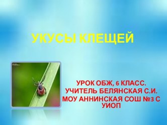 УКУСЫ КЛЕЩЕЙ