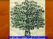 Как составить родословную