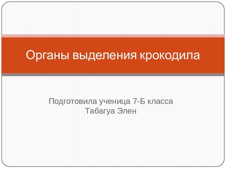 Подготовила ученица 7-Б класса Табагуа ЭленОрганы выделения крокодила