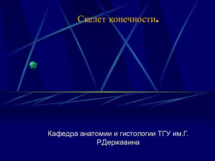 Скелет конечности.Кафедра анатомии и гистологии ТГУ им.Г.Р.Державина