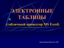 Электронные таблицы MS Excel