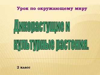 Дикорастущие и культурные растения