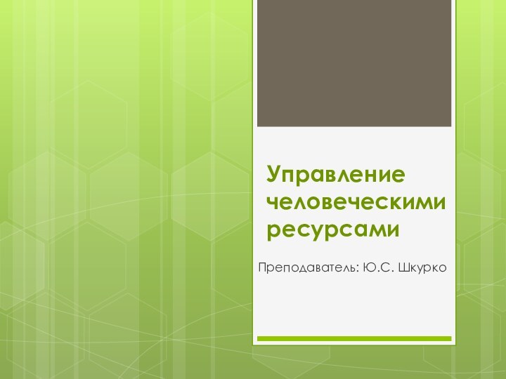 Управление человеческими ресурсамиПреподаватель: Ю.С. Шкурко