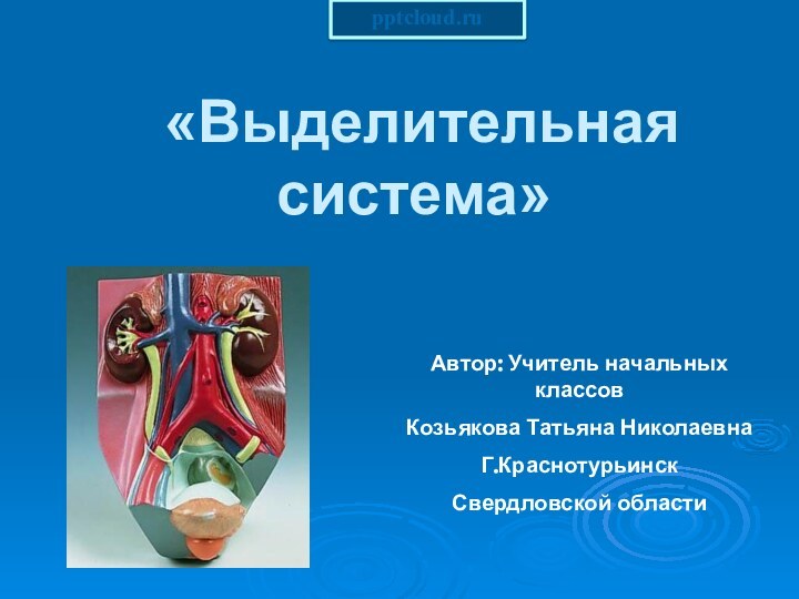 «Выделительная система»  Автор: Учитель начальных классов Козьякова Татьяна НиколаевнаГ.КраснотурьинскСвердловской области